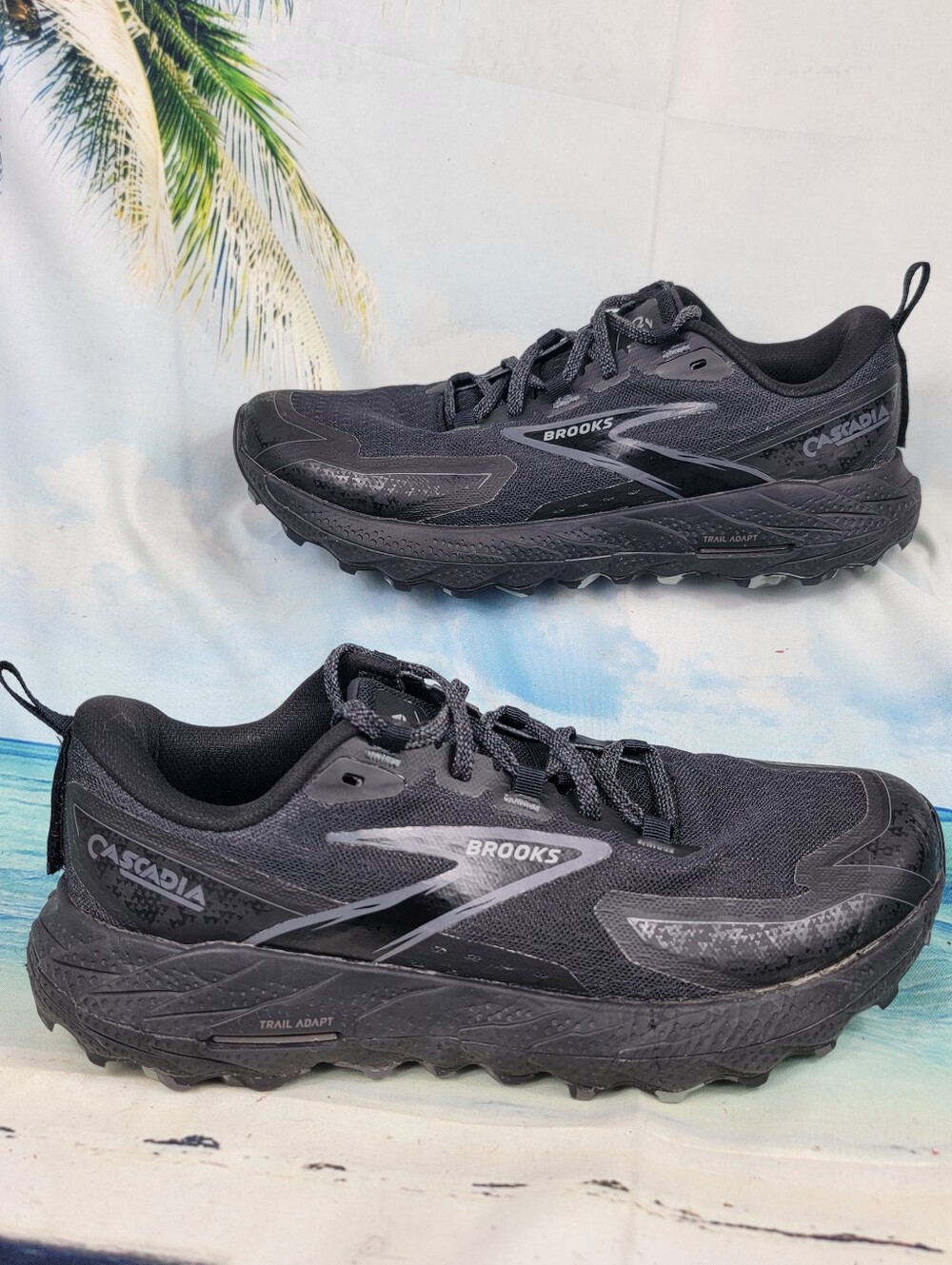 Brooks Cascadia 18 Trail Womens 9